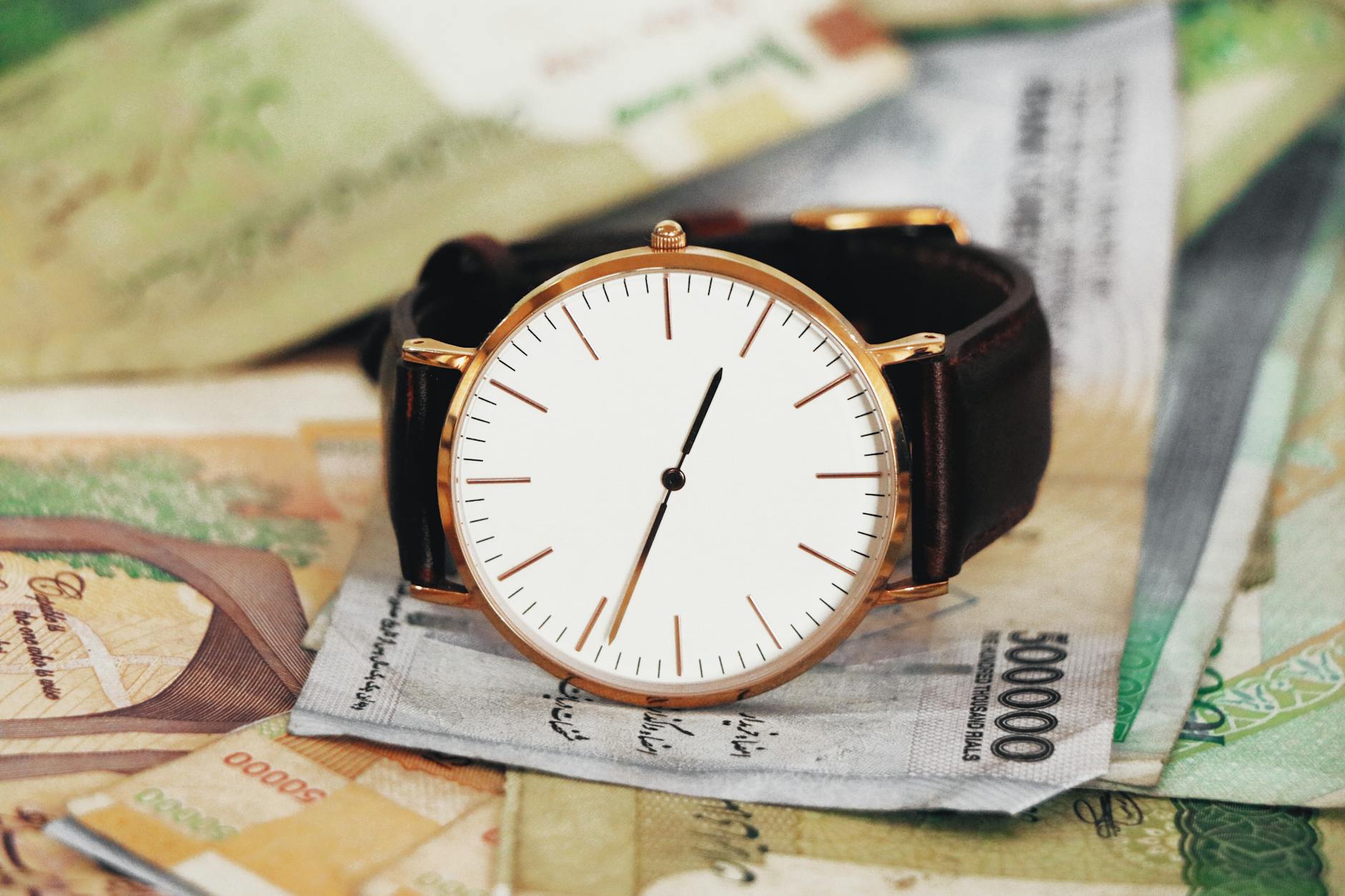 PMN (Penyertaan Modal Negara),