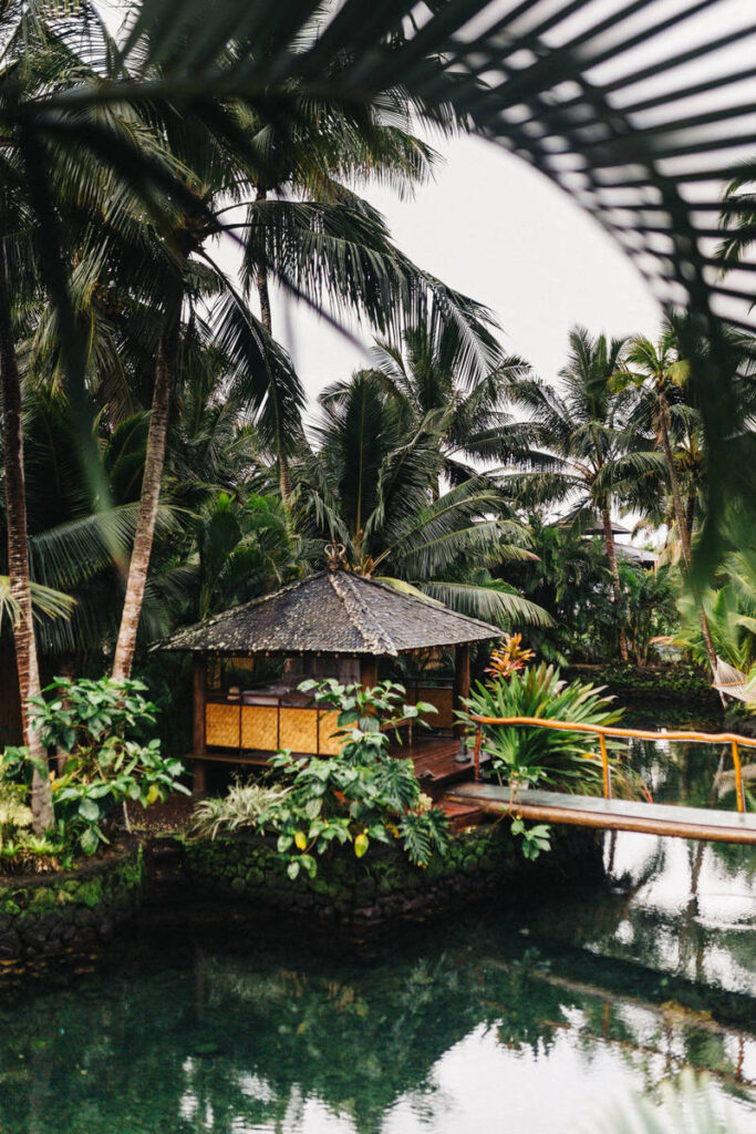 David suarez b9wr9ICcNOg unsplash 3