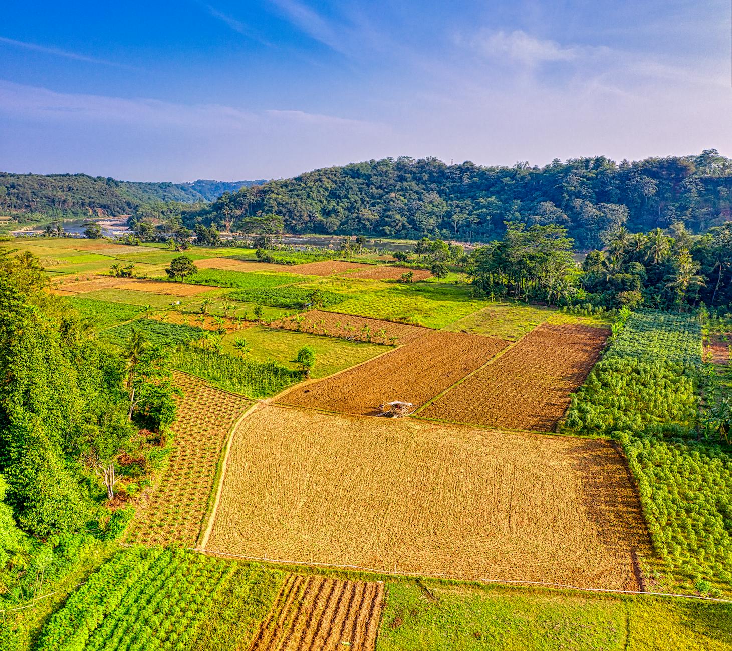 PTSL (Pendaftaran Tanah Sistematis Lengkap),